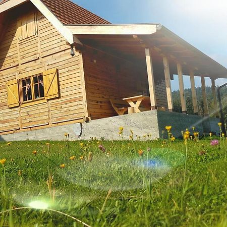Willa Brvnara Tara Bajina Basta Zewnętrze zdjęcie