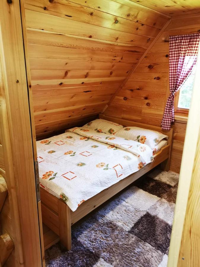 Willa Brvnara Tara Bajina Basta Zewnętrze zdjęcie
